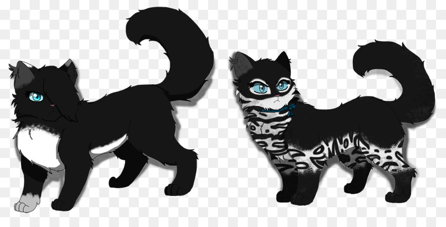 Chaton，Les Moustaches PNG