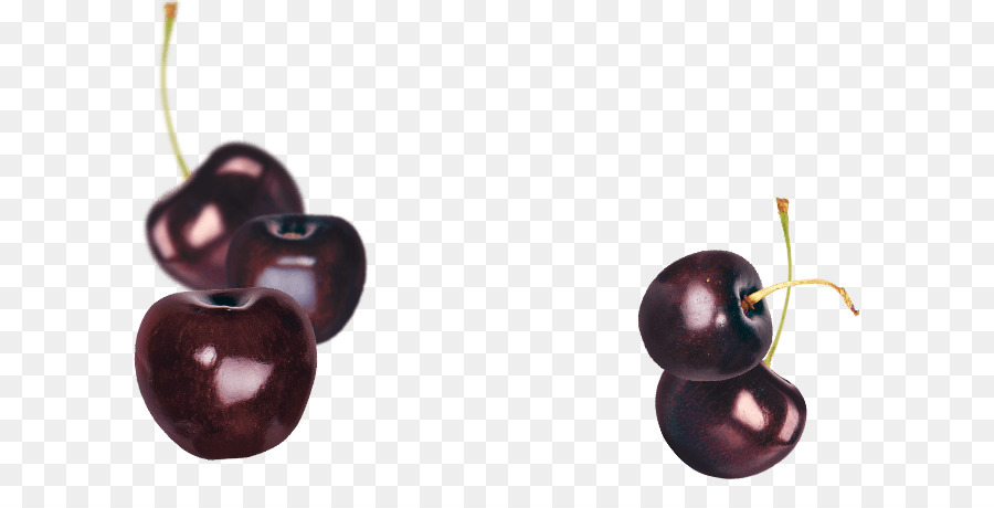 Prunes，Violet PNG