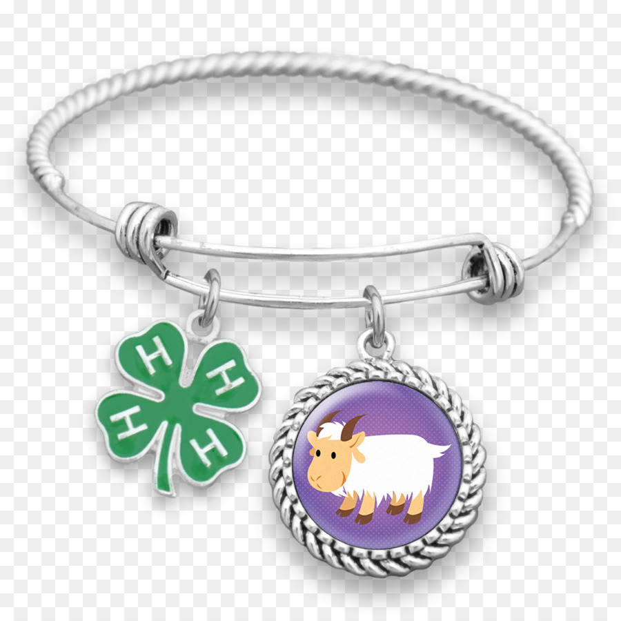 Bracelet De Charme，Bracelet PNG