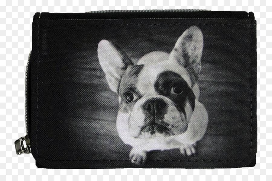 Bouledogue Français，Terrier De Boston PNG