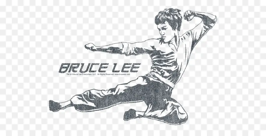 Bruce Lee，Arts Martiaux PNG