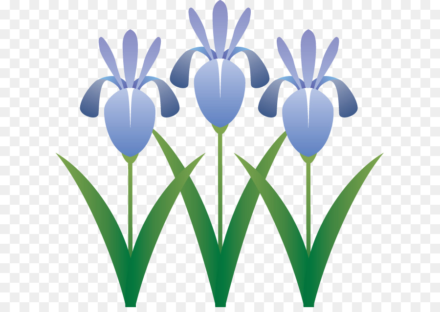 Fleur D'iris，Violet PNG