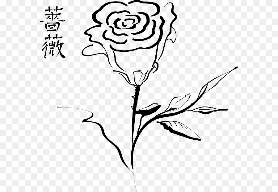 Rose，Dessin PNG