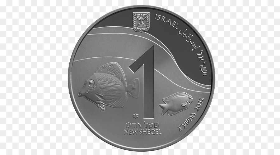 Pièce De Monnaie，Nouveaux Shekels Israéliens PNG