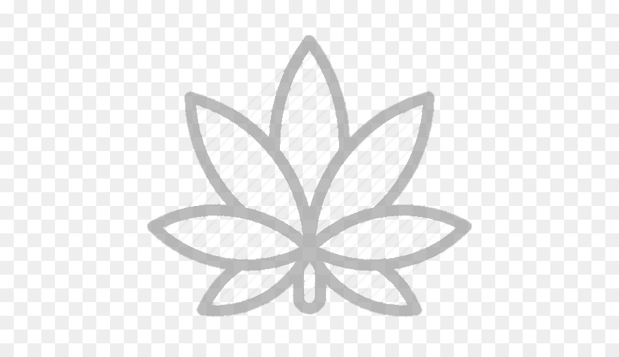 Feuille，Contour PNG