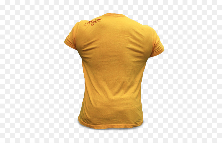 Tshirt，Musculation PNG