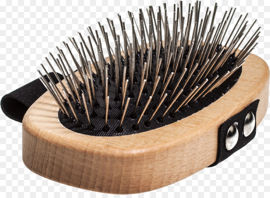 Allemand à Poil Long Pointeur，Brosse PNG