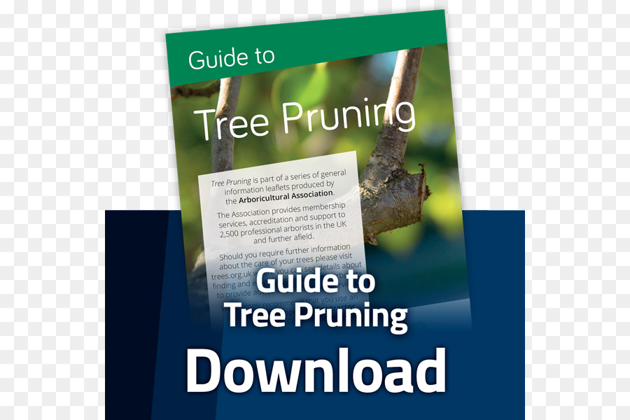 Arbre，Arboriculture PNG