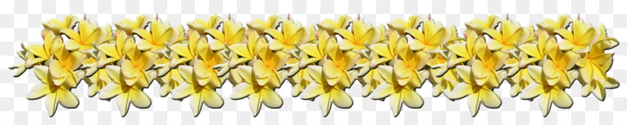 Rouge Fleur De Frangipanier，Les Plantes PNG