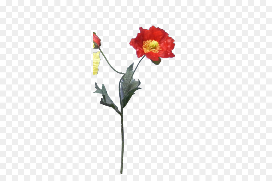 Fleur Rouge，Tige PNG