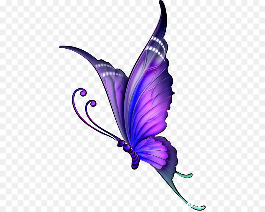 Papillon，Violet PNG