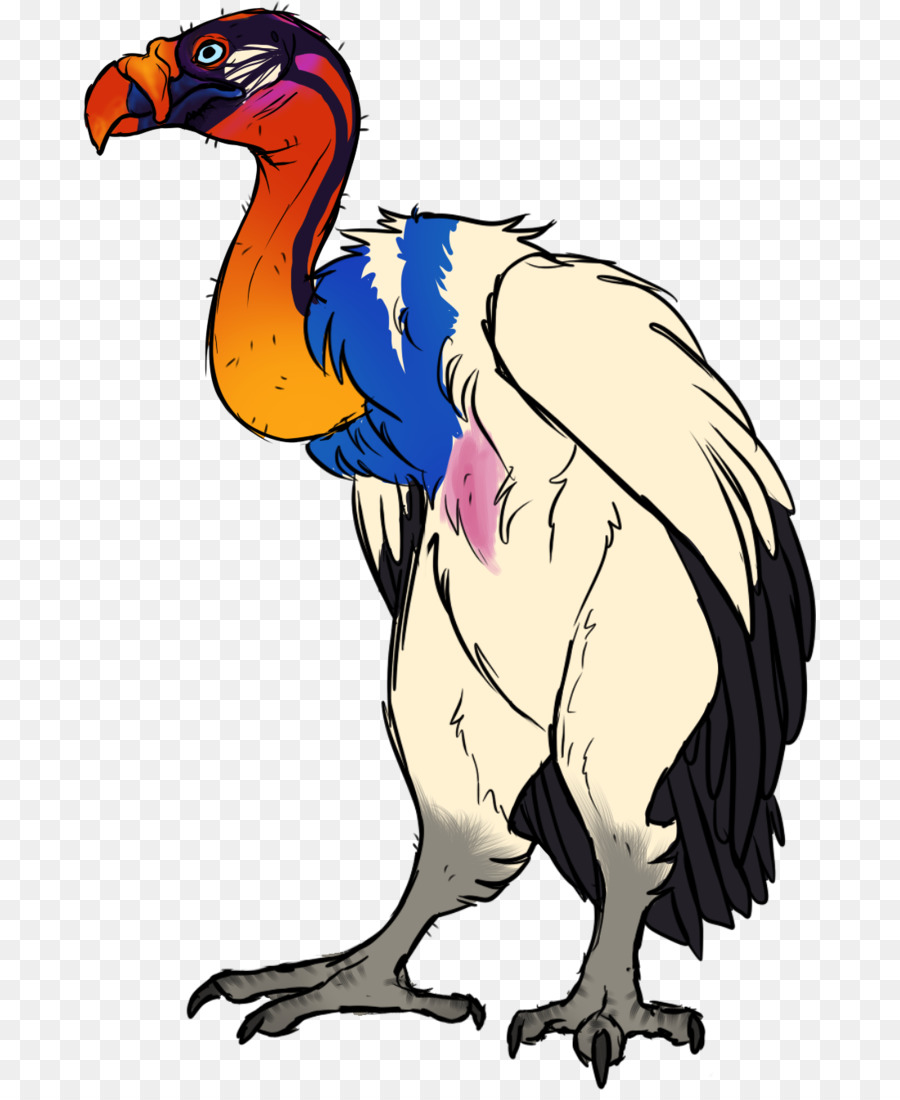 Vautour De Dessin Animé，Oiseau PNG