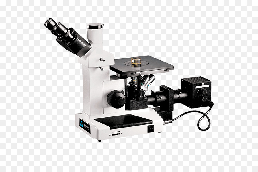 Microscope，Lentille PNG