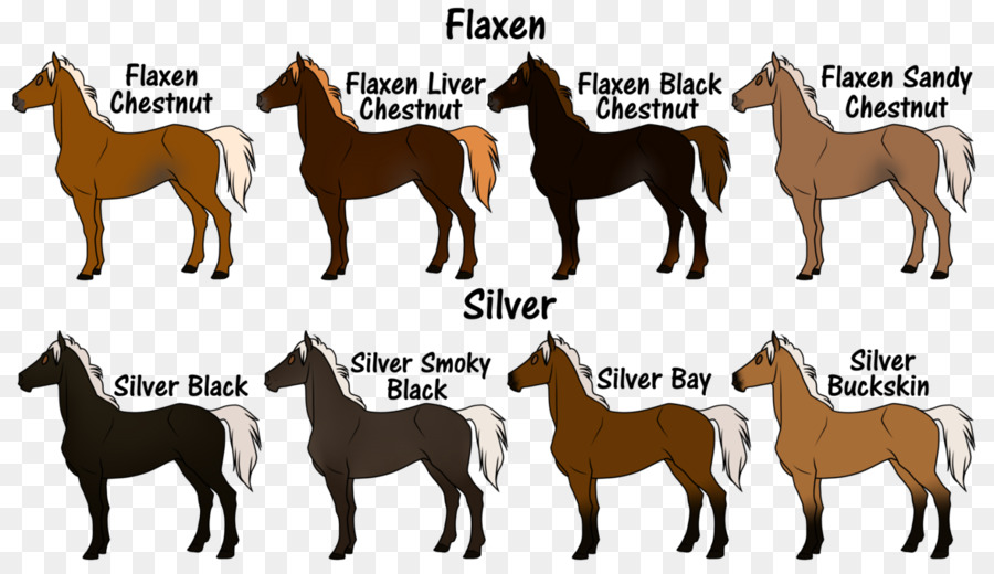 Couleurs Des Chevaux，De Lin PNG