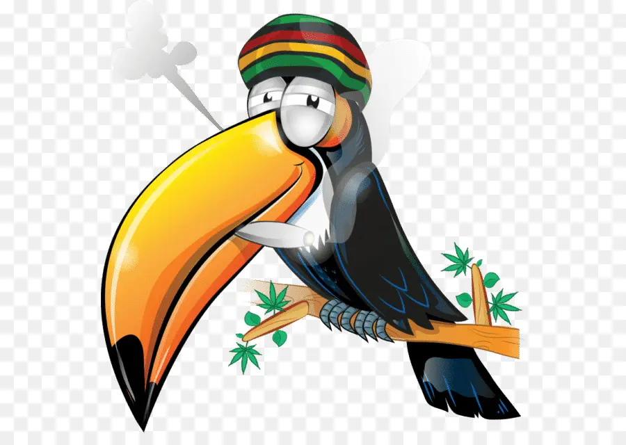 Toucan De Dessin Animé，Toucan PNG