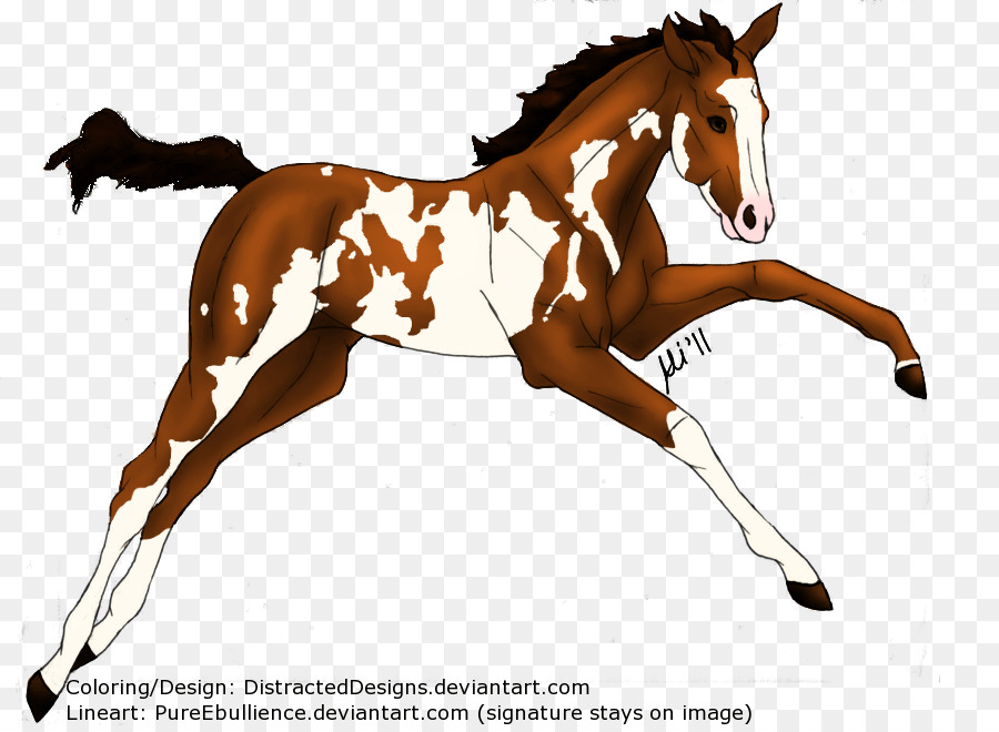 Mustang，Poney PNG