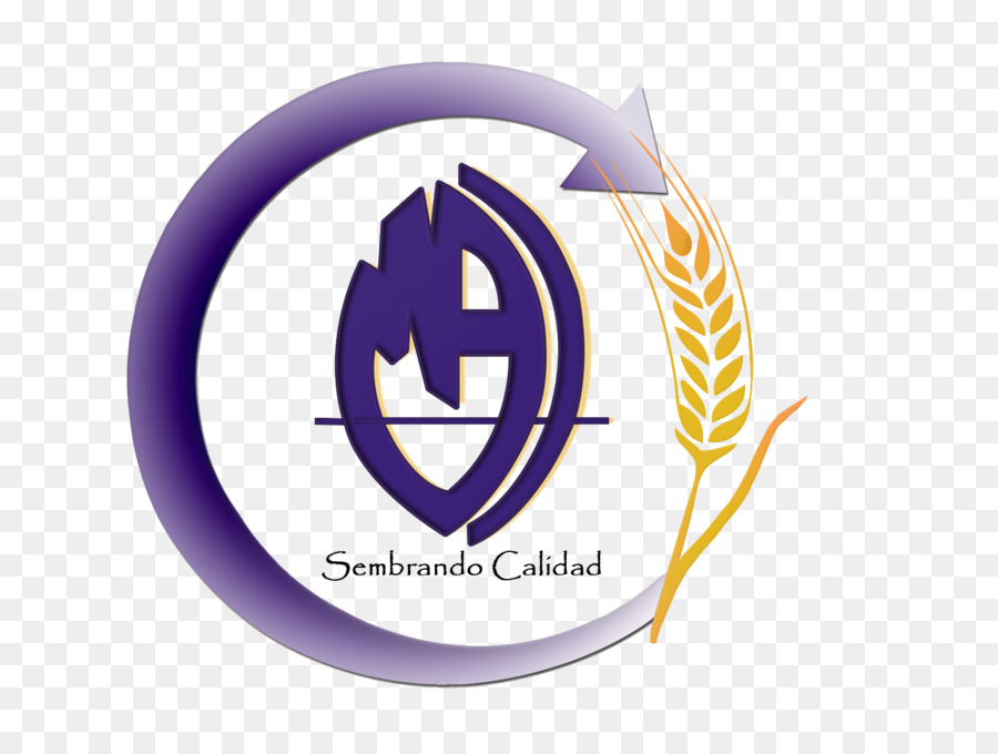 Logo，Conception De Logo PNG