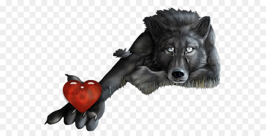 Loup Le Cœur Brise Lamour Png Loup Le Cœur Brise Lamour Transparentes Png Gratuit