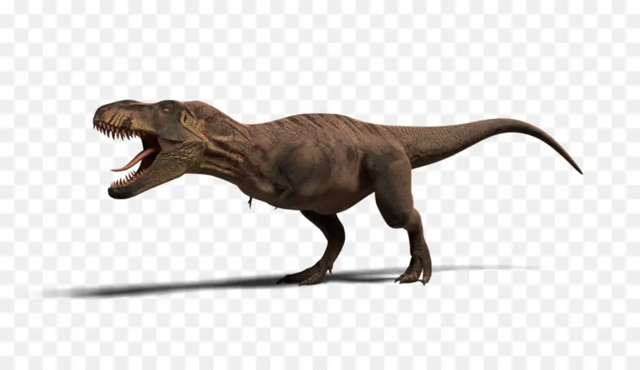 Tyrannosaurus，Opération De Jurassic Park Genesis PNG