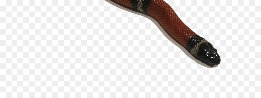 Chaussure， PNG