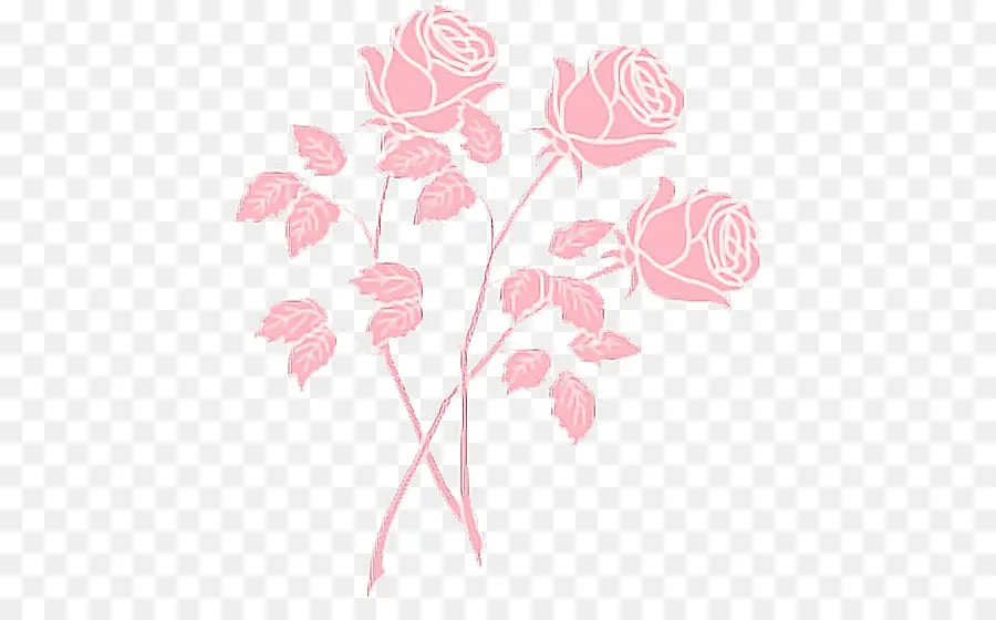 Roses Roses，Bouquet PNG