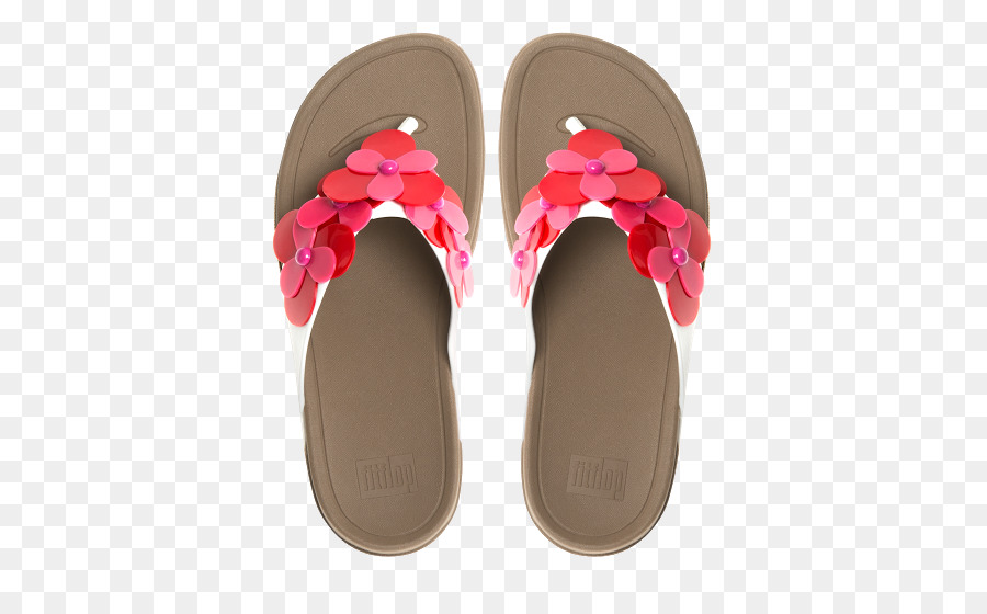 Des Tongs，Chaussure PNG