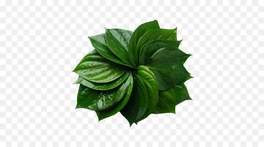 Paan，De Bétel PNG