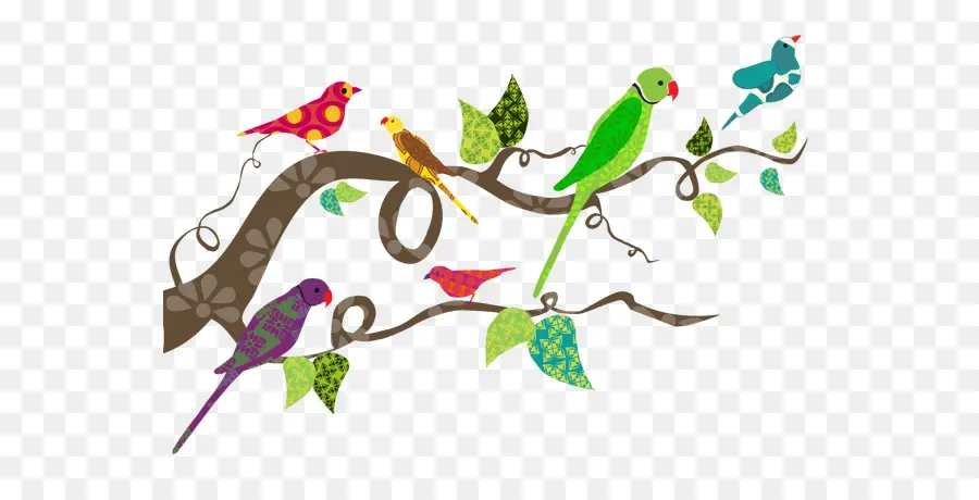 Oiseaux Colorés，Bifurquer PNG