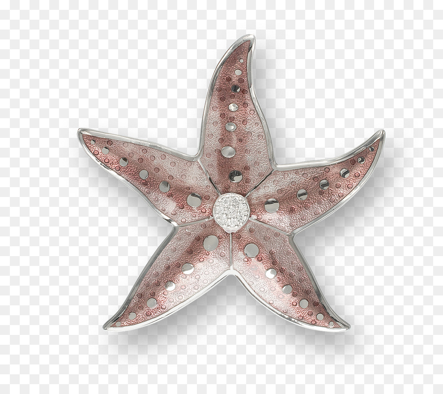 Broche étoile De Mer，Bijoux PNG