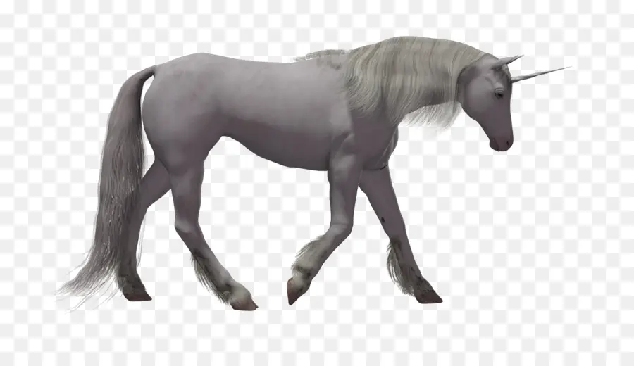 Licorne，Corne PNG