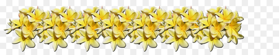 Fleurs Jaunes，Décoration PNG