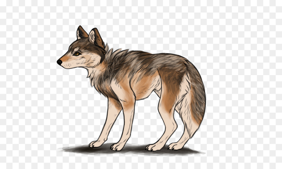 Loup，Canin PNG