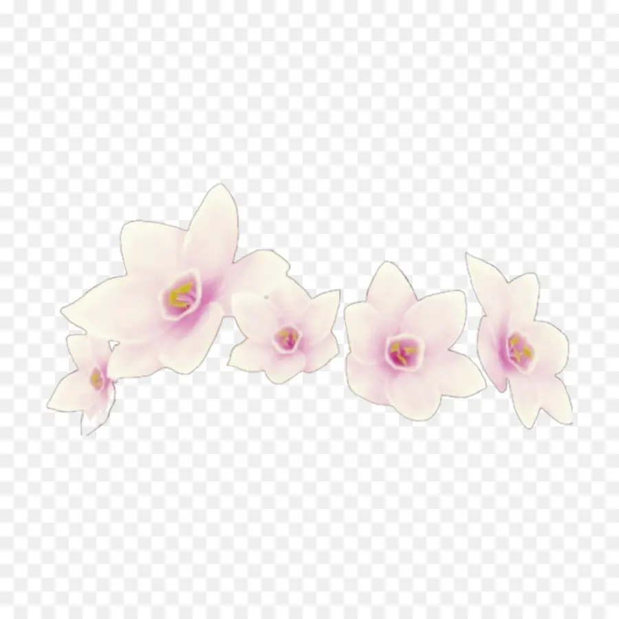 Fleurs Blanches，Centre Rose PNG