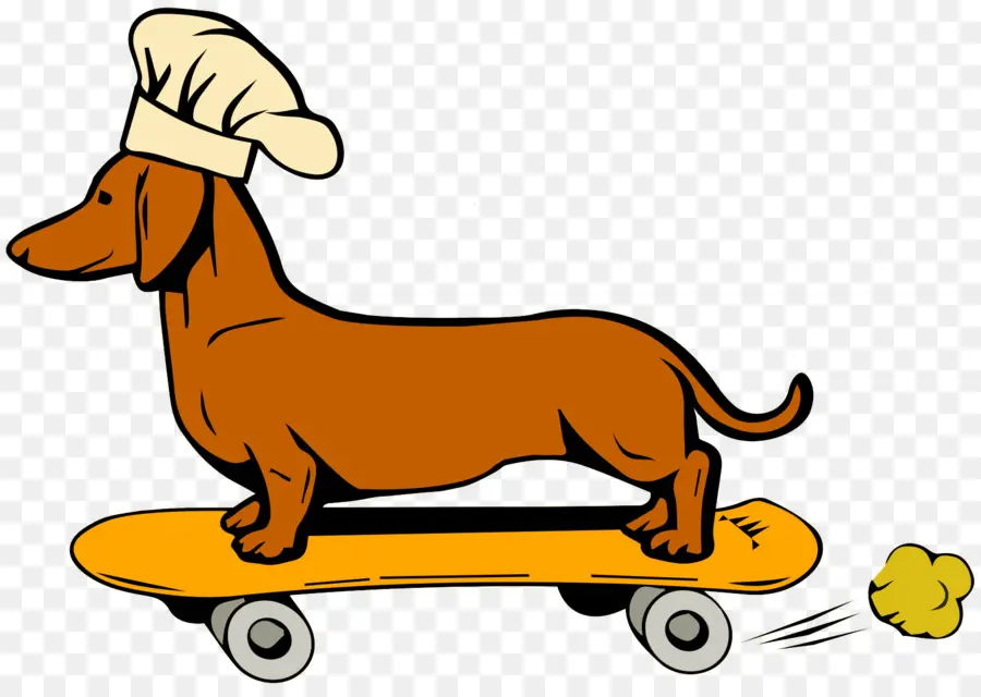 Chien Sur Planche à Roulettes，Skateboard PNG