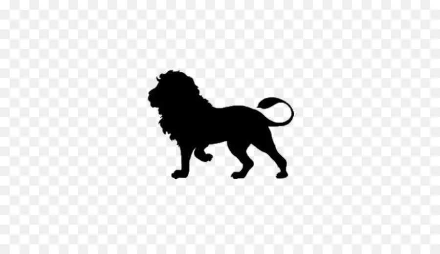 Lion，Cougar PNG