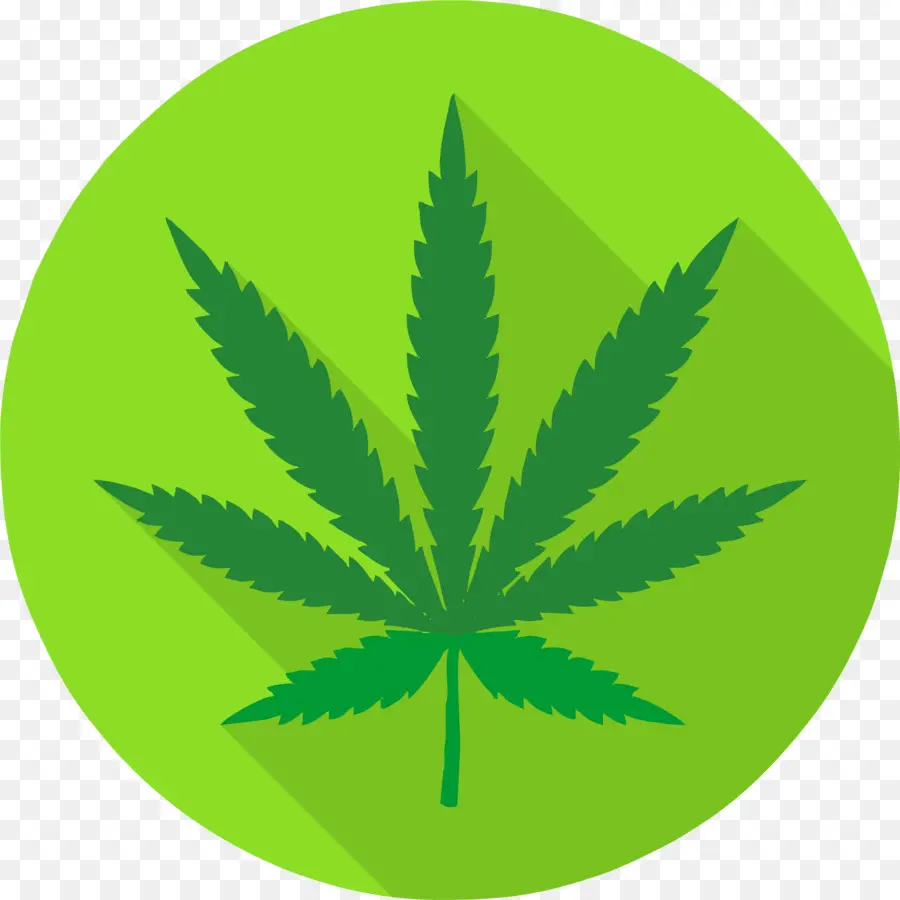 Feuille De Cannabis，Marijuana PNG