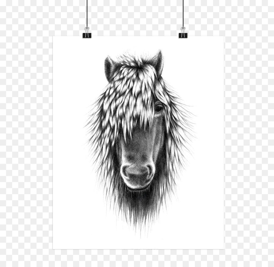 Cheval，Dessin PNG