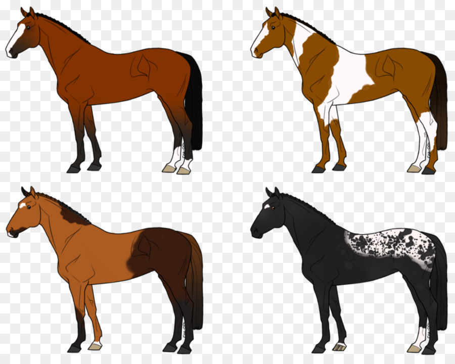 Chevaux，En Cours D'exécution PNG