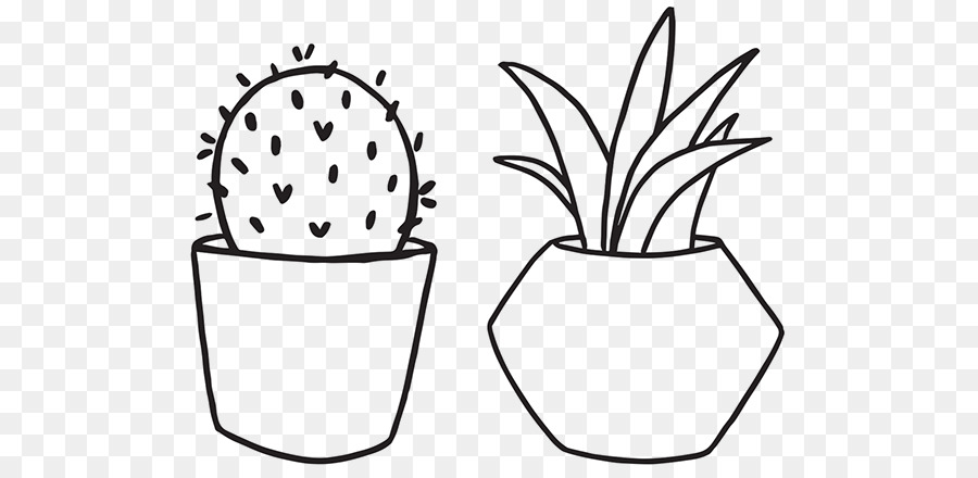 Cactus Et Plante，Pots PNG