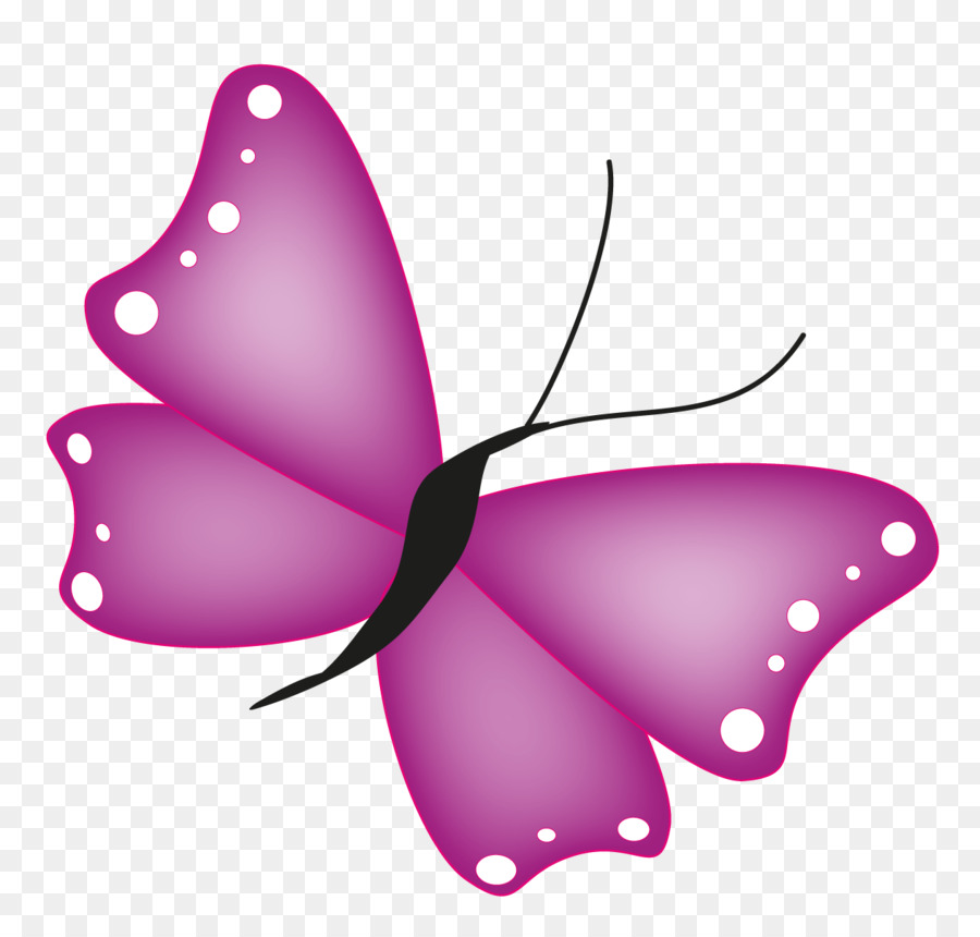 Papillon Violet，Insecte PNG