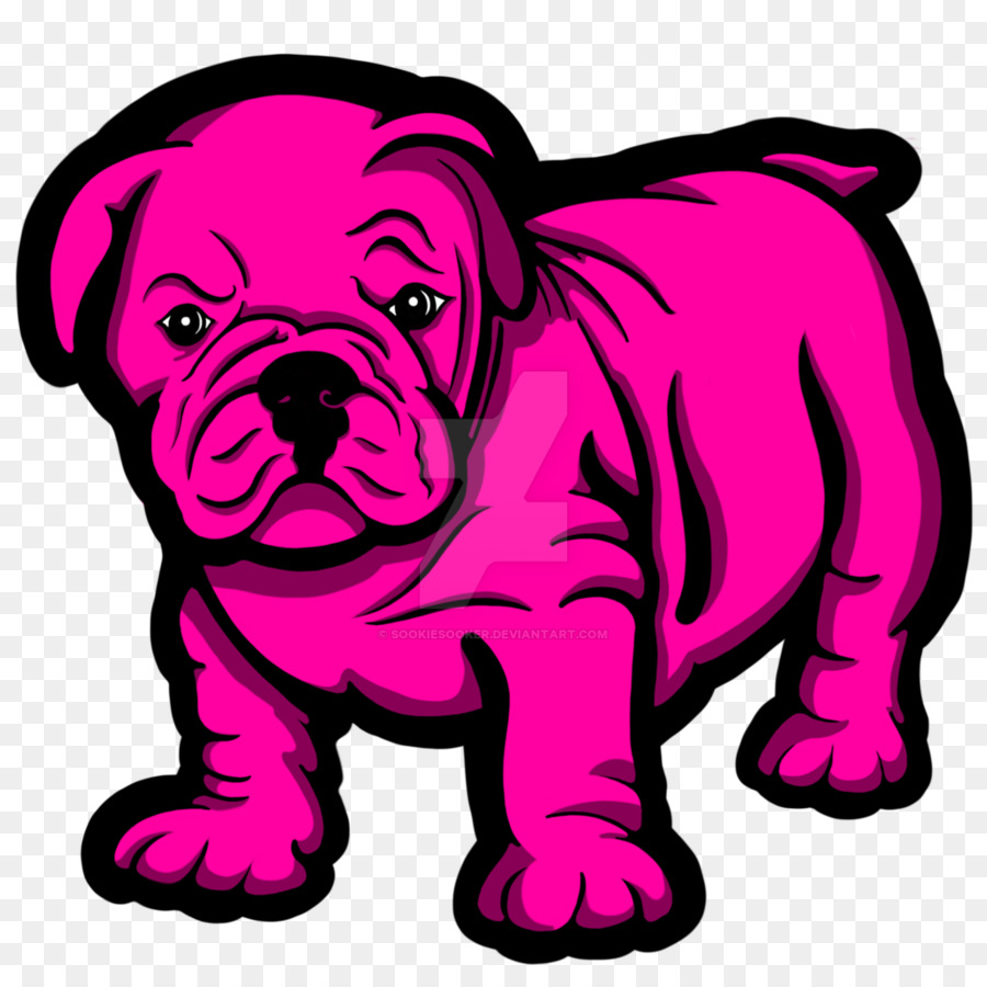 Bouledogue，Chiot PNG