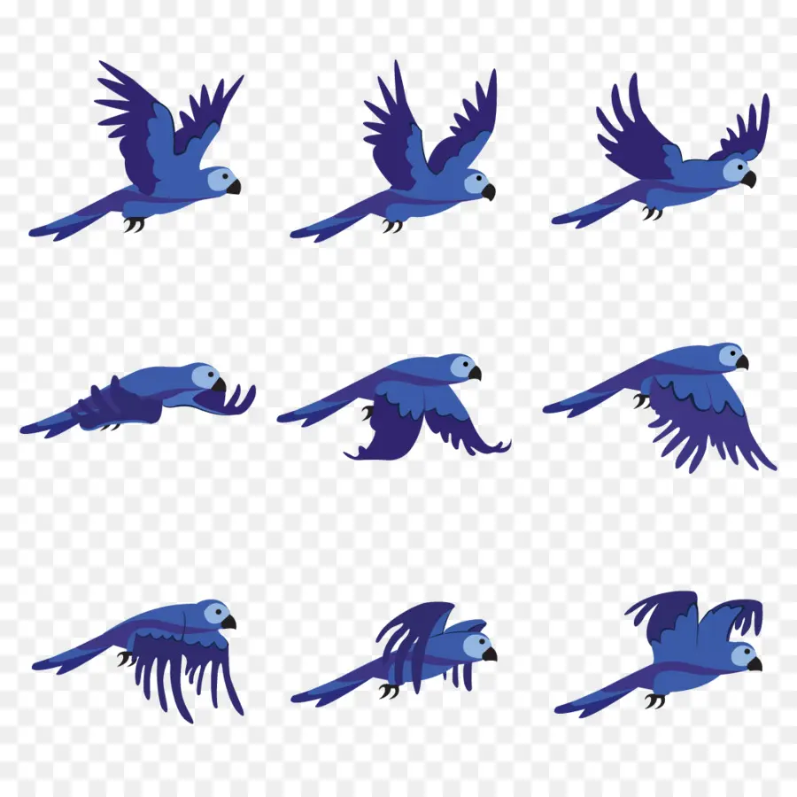 Oiseaux Bleus，Vol PNG