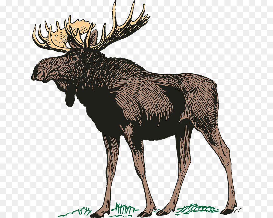 L Orignal，Moose Lodge 1483 PNG