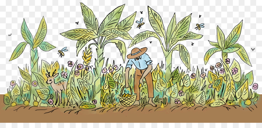 L écosystème，Herbes PNG