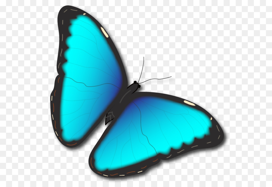 Turquoise，M Papillon PNG