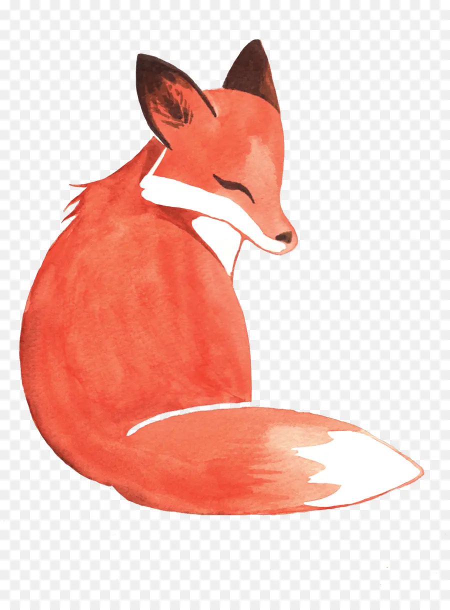 Peinture à L Aquarelle，Fox PNG