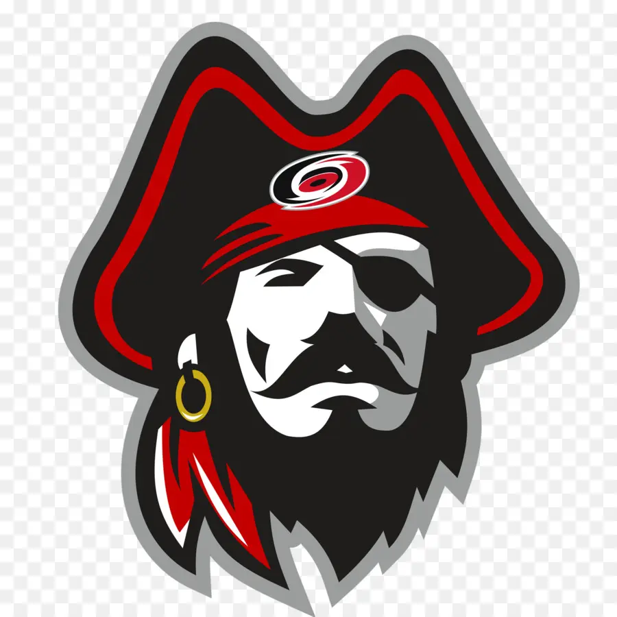 Logo Des Pirates，Pirate PNG