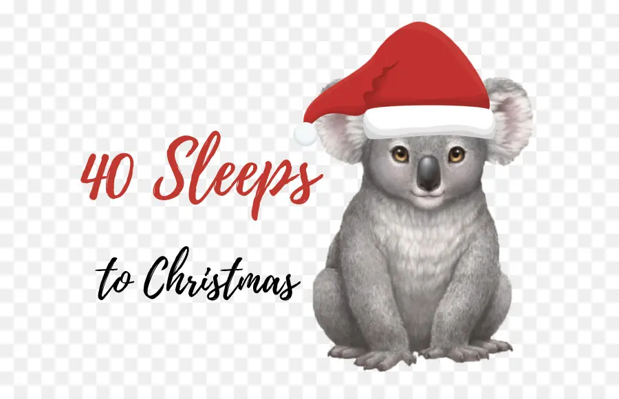 Koala Avec Chapeau De Père Noël，Noël PNG