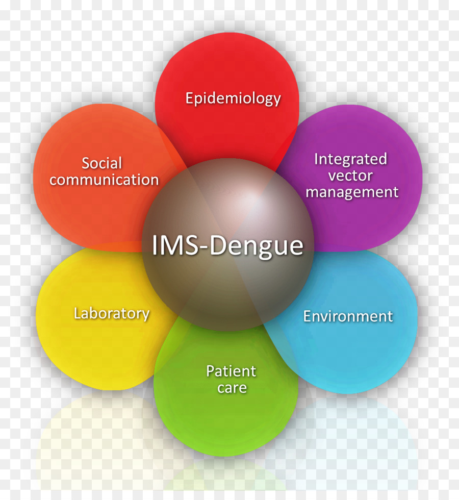 La Fièvre De La Dengue，Stratégie PNG