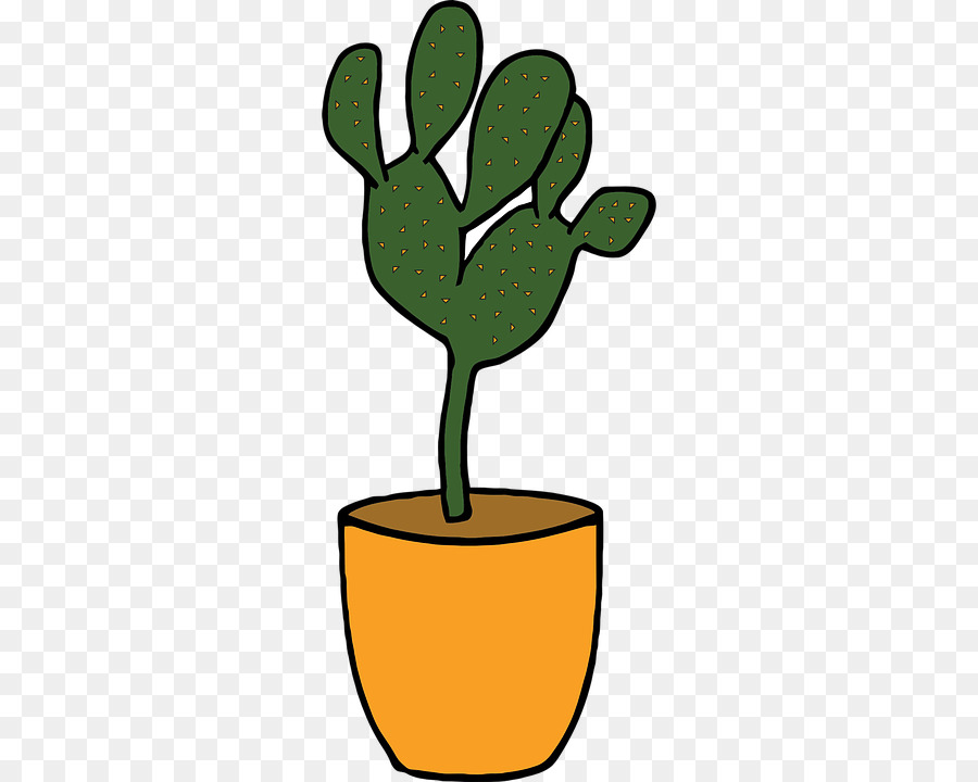 Cactus，Désert PNG